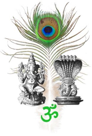 But all of these are based to some degree on the teachings of the Vedas and 